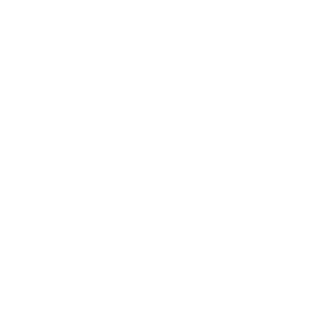 All Valve and Process